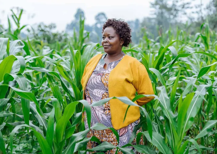 Acumen’s ARAF Commits $90M to Climate-Resilient Agriculture